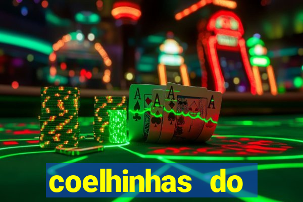 coelhinhas do brasil jp