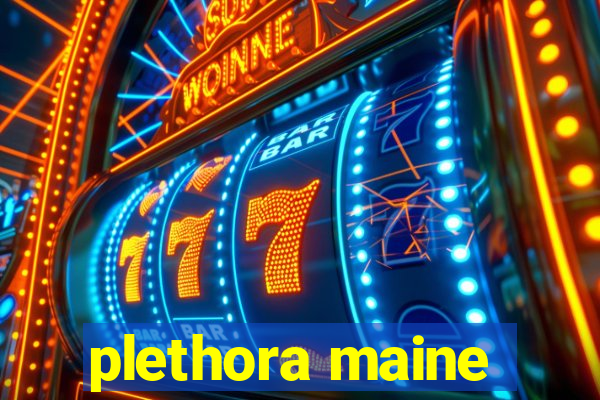 plethora maine