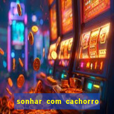 sonhar com cachorro numeros da mega sena